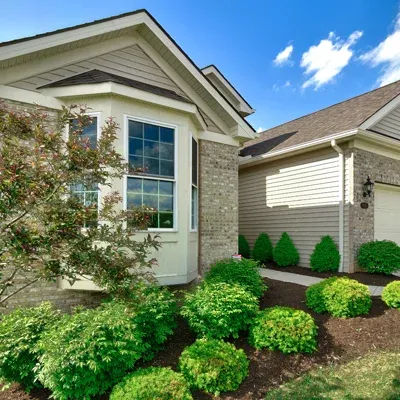 healthy trees and shrubs in front of a house