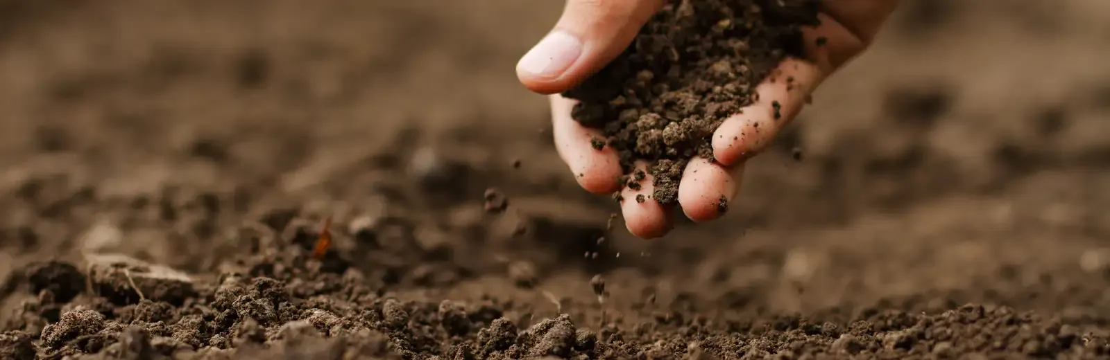hand grabbing soil for soil testing