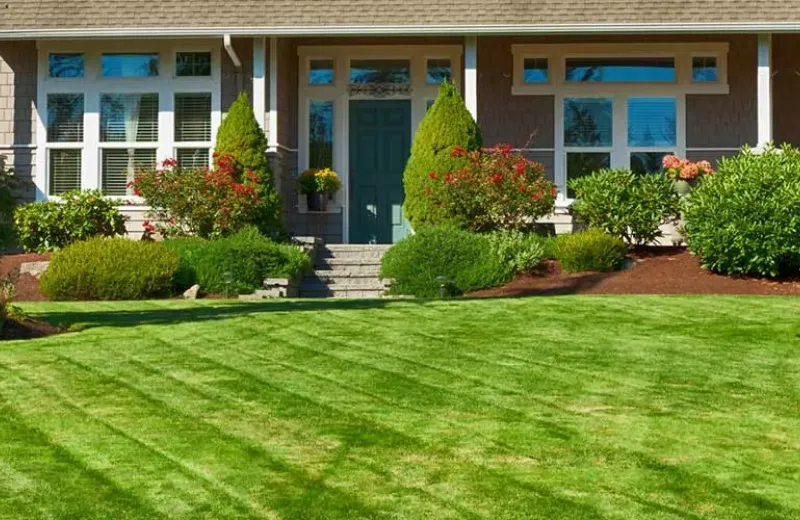copy_of_lawn_hero